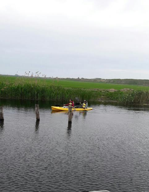 Dunavăţu de Sus Pike Inn Dunavatul De Sus - Delta Dunarii מראה חיצוני תמונה